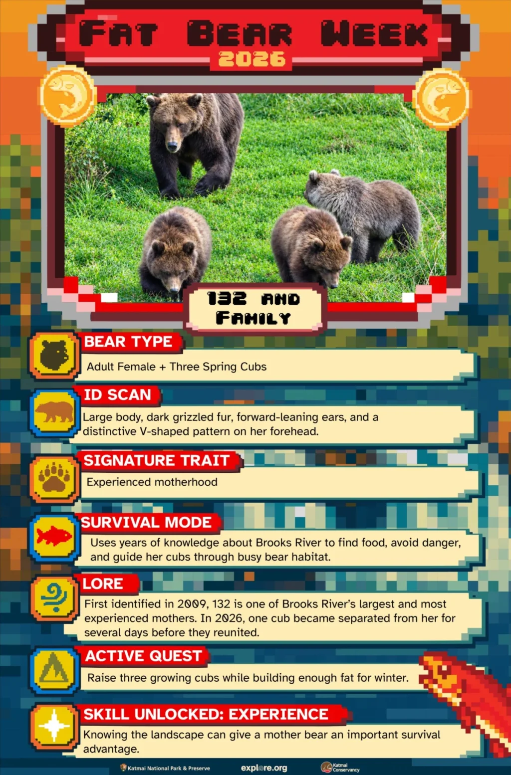 fat-bear-week-2026-round-2-heats-up-with-heavyweight-showdowns-and-sibling-rivalries-at-katmai-national-park