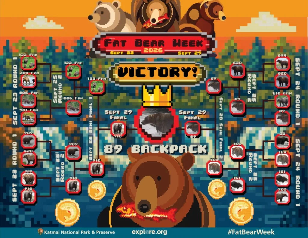 heavy-is-the-bear-that-wears-the-crown-bear-89-backpack-wins-fat-bear-week-2026