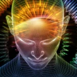 intensive-meditation-retreats-trigger-profound-biological-transformations-across-multiple-human-systems