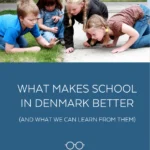 lessons-from-denmark-reimagining-the-american-educational-framework-through-professional-trust-and-subtraction