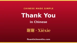 mastering-the-nuances-of-expressing-gratitude-in-mandarin-chinese