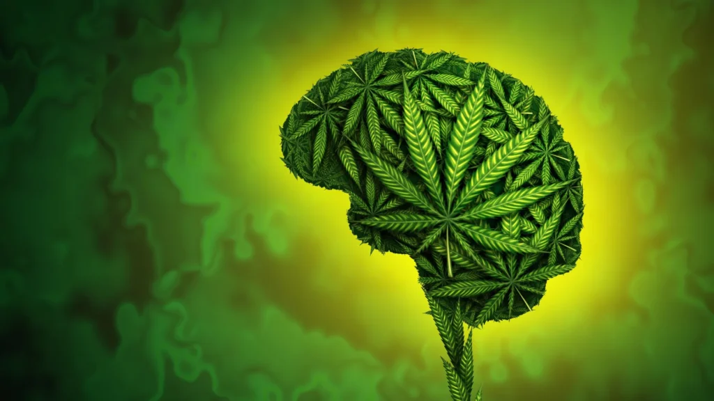 new-research-links-adolescent-cannabis-use-to-stunted-cognitive-development-and-impaired-memory-growth