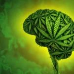 new-research-links-adolescent-cannabis-use-to-stunted-cognitive-development-and-impaired-memory-growth