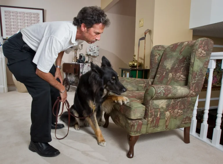 paws-on-the-perimeter-how-detection-dogs-became-agricultures-frontline-defense-against-invasive-pests