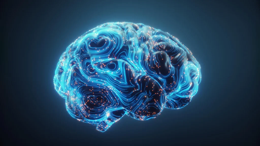 rewiring-the-mind-georgetown-researchers-discover-how-the-brain-achieves-true-multitasking-through-neural-remodeling