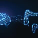 the-gut-brain-connection-how-digestive-signals-shape-our-memories-and-cognitive-health