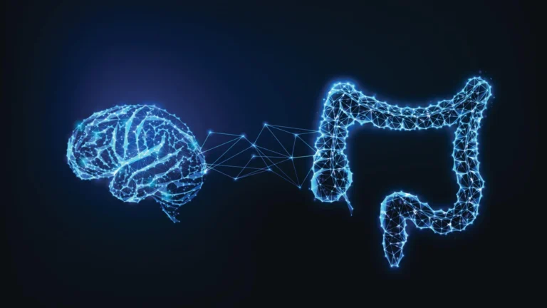 the-gut-brain-connection-how-digestive-signals-shape-our-memories-and-cognitive-health
