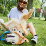 the-science-behind-the-canine-scratch-reflex-why-your-dogs-leg-kicks-when-you-find-their-sweet-spot