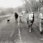 wendell-berry-and-the-promise-of-the-deep-life