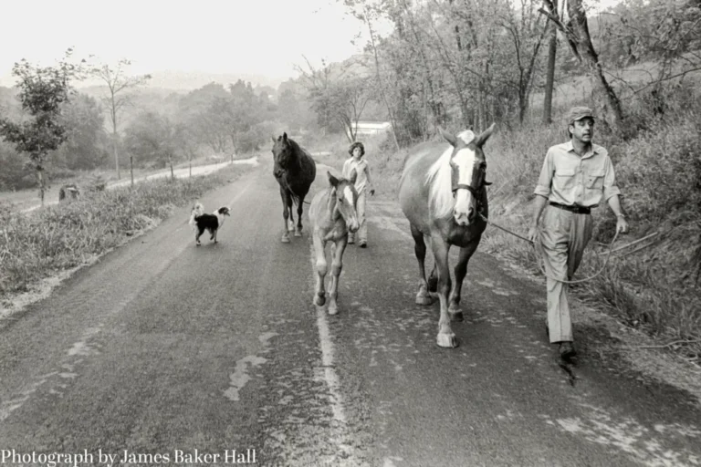 wendell-berry-and-the-promise-of-the-deep-life