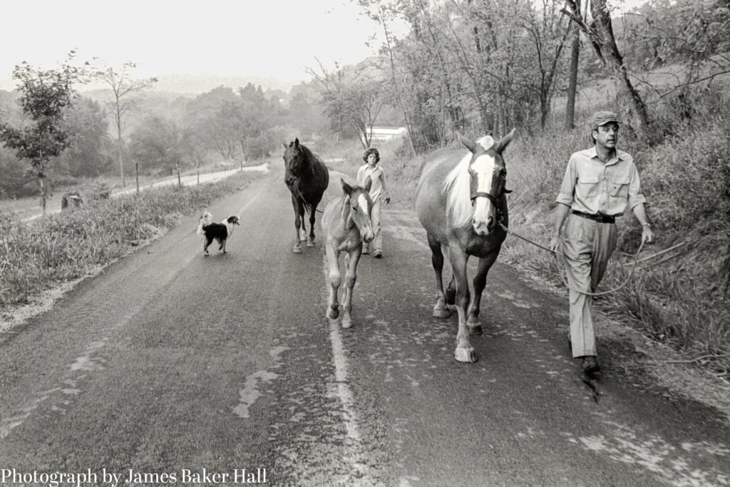 wendell-berry-and-the-promise-of-the-deep-life
