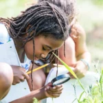 wings-over-the-classroom-how-south-carolinas-avian-conservation-center-connects-students-to-wildlife-and-environmental-stewardship