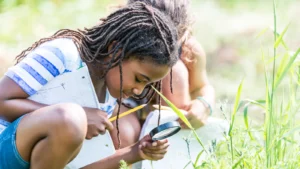 wings-over-the-classroom-how-south-carolinas-avian-conservation-center-connects-students-to-wildlife-and-environmental-stewardship