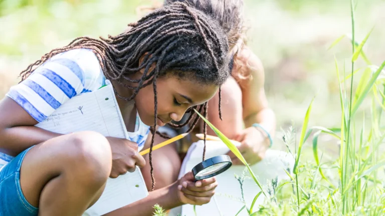 wings-over-the-classroom-how-south-carolinas-avian-conservation-center-connects-students-to-wildlife-and-environmental-stewardship