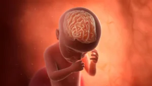 congenital-infections-during-pregnancy-linked-to-significantly-higher-risks-of-autism-and-intellectual-disability-according-to-landmark-swedish-study