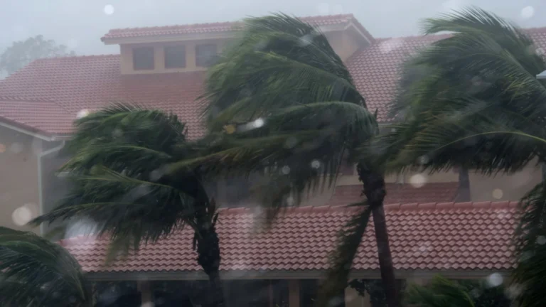 engineering-the-storm-how-ocean-inspired-wavy-architecture-could-redefine-hurricane-resilience