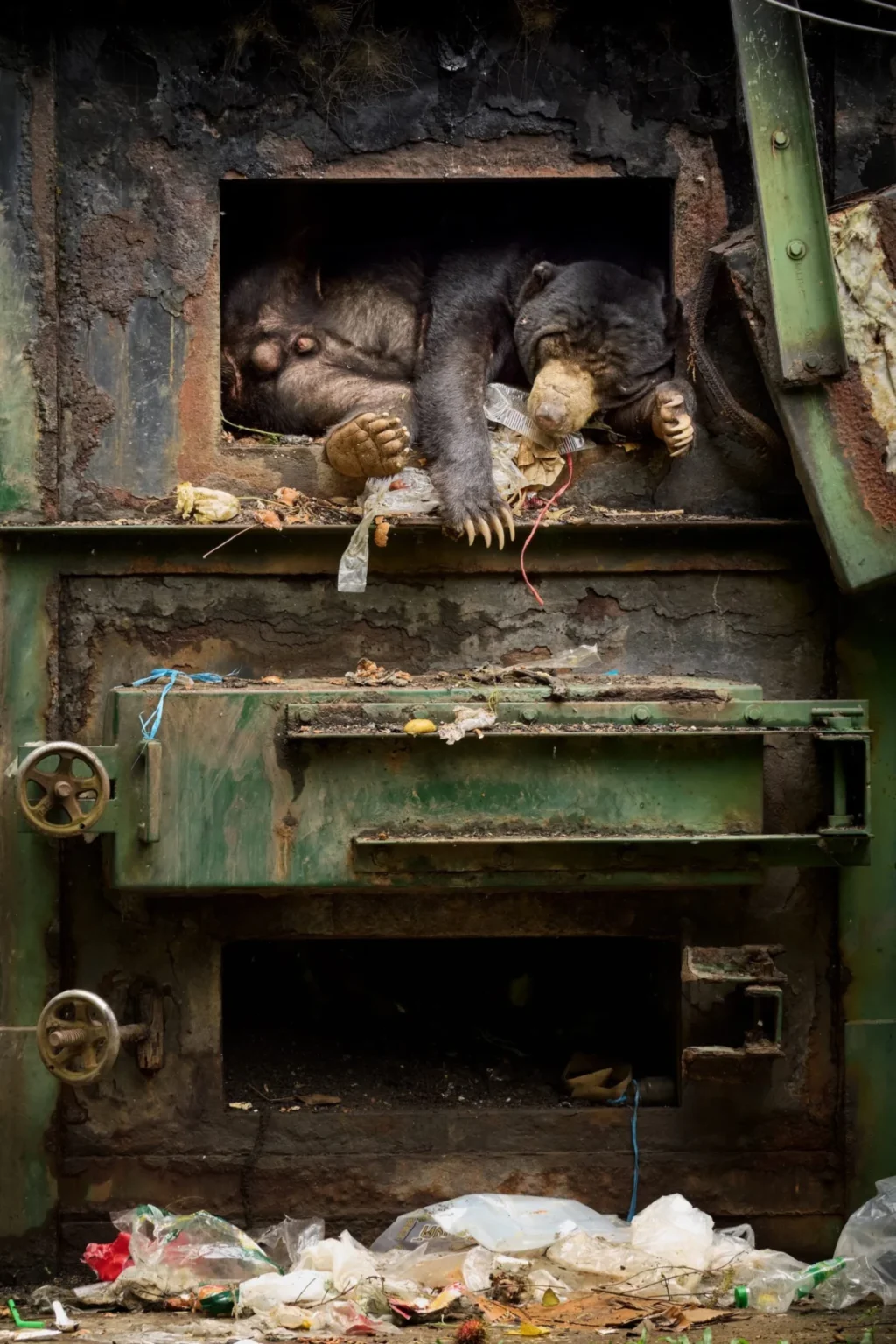 european-wildlife-photographer-of-the-year-2026-announces-winners-highlighting-biodiversity-and-human-impact