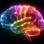 how-stress-hormones-reshape-neural-architecture-to-solidify-emotional-memory
