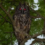 nature-is-metal-its-a-life-eats-life-world-explores-the-unfiltered-reality-of-wildlife-survival