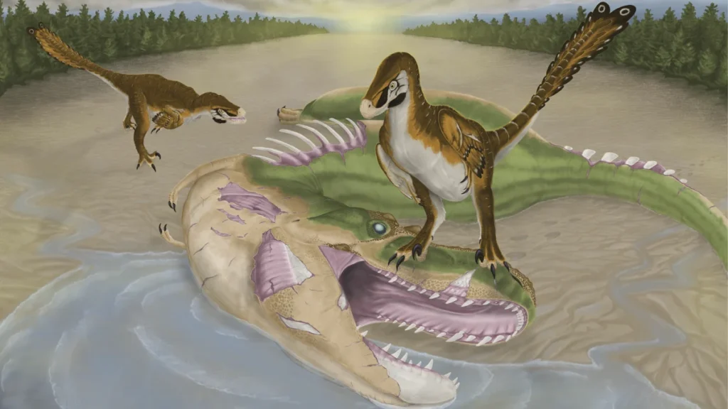new-fossil-evidence-reveals-rare-prehistoric-scavenging-as-raptors-feasted-on-apex-predator-albertosaurus