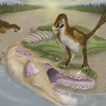 new-fossil-evidence-reveals-rare-prehistoric-scavenging-as-raptors-feasted-on-apex-predator-albertosaurus