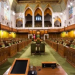 the-collision-of-meritocracy-and-equity-assessing-the-parliamentary-call-to-remove-edi-from-federal-research-funding