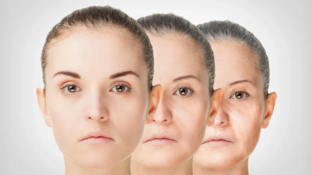the-hidden-controller-how-brain-protein-menin-and-neural-signaling-may-dictate-the-pace-of-human-aging