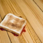 the-science-behind-the-five-second-rule-debunks-decades-of-floor-to-mouth-mythology