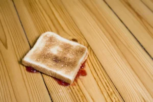 the-science-behind-the-five-second-rule-debunks-decades-of-floor-to-mouth-mythology