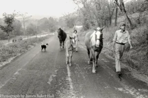 wendell-berry-and-the-promise-of-the-deep-life