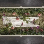 why-corpses-move-shift-and-make-sounds-after-death-the-science-of-post-mortem-activity